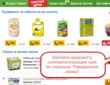 „Euroopt“ nuolaidos reklamos kredito kodai Ką galite nusipirkti „Euroopt“.